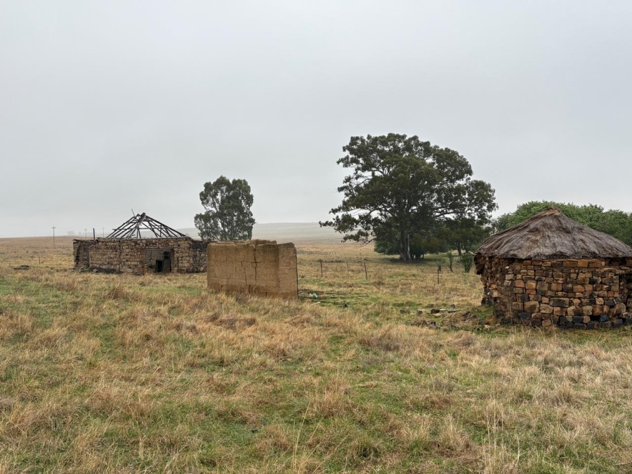 Commercial Property for Sale in Reitz Free State